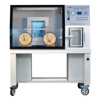 上海躍進厭氧培養箱YQX-I/II/III